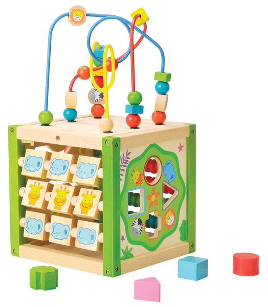 EverEarth - My First Multi - Play Activity Cube