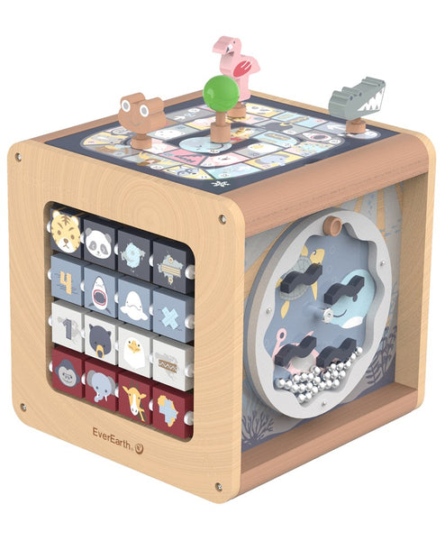 EverEarth - 6 in 1 Animal Activity Cube