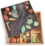 Tender Leaf - My Forest Floor Set